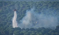 Orman yangınlarıyla mücadelede yeni dönem: Usul ve esaslar belli oldu