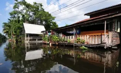 Bangkok’ta büyük alarm: 50 bölge afet bölgesi oldu