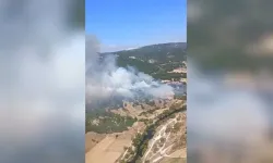 Orman yangını alarmı: Alevlere müdahale sürüyor