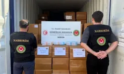 Mersin’de gümrükte yakalandı: Yükün içinden bakın ne çıktı
