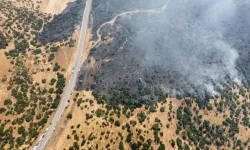 Elazığ'da ormana sıçrayan yangına müdahale ediliyor