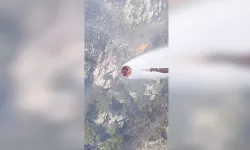 Ormanlık alanda çıkan yangına müdahale ediliyor...