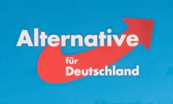 Dengeler değişiyor: AfD yüzde 29 ile ilk sırada!