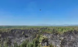 Antalya'da ormanlık alandaki yangın büyük ölçüde kontrol altına alındı