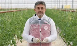 Türkiye’nin tarımda dikkat çeken başarısı