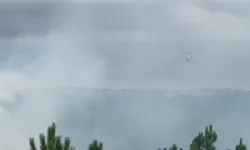 Ormanlık alanda yangın paniği! Ekipler seferber oldu