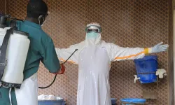 Kenya'da ilk Ebola vakası doğrulandı: Hasta hayatını kaybetti