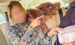 Bakırköy'deki rüşvet soruşturmasında 8 kişi tutuklandı: İYİ Partili vekille ilgili dosya Ankara'ya gönderildi!