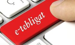 e-Tebligat zorunluluğunda son tarih 30 Kasım: Şirketler ve mükellefler sisteme girmek zorunda