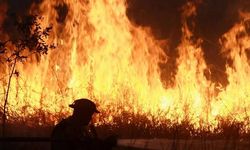 Endonezya, aylardır süren orman yangınlarını bir aydan kısa sürede söndürmeyi hedefliyor