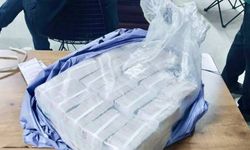 Gebze'de dolandırıcılık soruşturmasında şüphelinin evinden 3,9 milyon lira çıktı