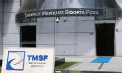 TMSF, Tera Yatırım Teknoloji Holding'e kayyum olarak atandı