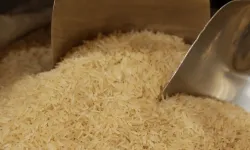 Pirinç ve çeltik ithalatına gözetim kararı