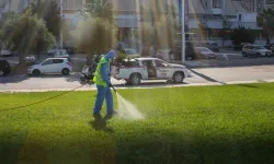 AB'de Batı Nil virüsü vakaları rekor seviyeye ulaştı
