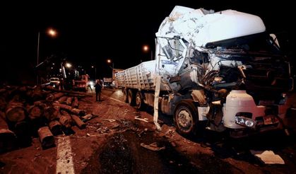 Tomruk yüklü iki kamyon çarpıştı