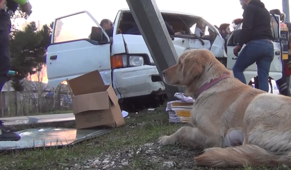 Araç içinde sıkışan sürücüyü köpeği yalnız bırakmadı