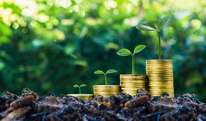 "Yeşil bankacılığın" sürdürülebilir kalkınmaya katkısı günden güne büyüyor