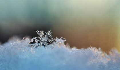 Eşsiz güzellikleriyle gökyüzünden süzülüyorlar! Birbirinden farklı dikkat çekici kar taneleri...