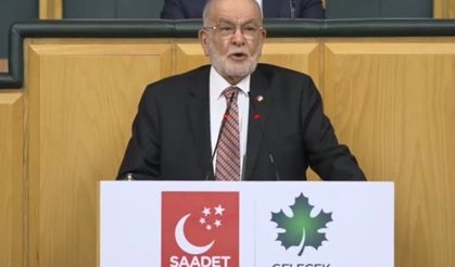 Temel Karamollaoğlu: Erdoğan bir dönem daha iktidarda olmak istiyor