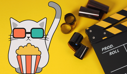 Kenarda köşede kalmış şaheserler! Bu filmler sizi heyecandan çıldırtacak...