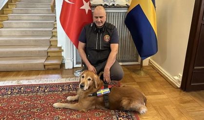 Asrın felaketinde 18 can kurtaran kahraman köpek Killian yaşamını yitirdi