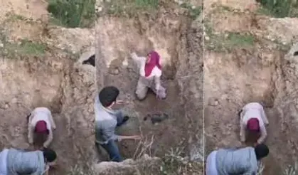 Akılalmaz olay! Hastalıktan ölen köpekleri mezardan çıkardılar
