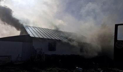 Sakarya'da yayla evinde yangın: 4 kişi dumandan etkilendi