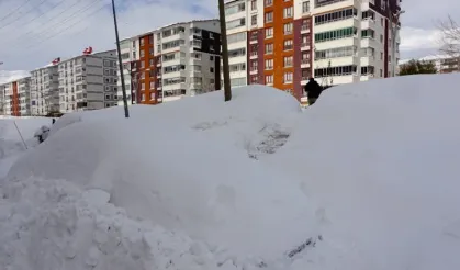Bitlis'te termometreler eksi 17 dereceyi gördü