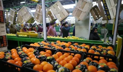 Tarım sektörü, don ve kuraklığa rağmen yıllık ihracat rekoru kırdı