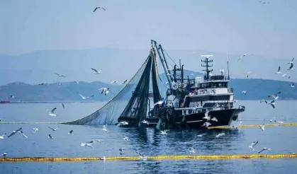 Denizlerde avcılık küçük türlere kaydı