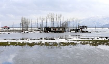 Muş'ta yağışlar geçen yıla göre yüzde 200 arttı