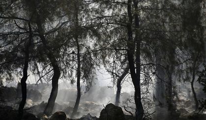 Fethiye'de çıkan orman yangını kontrol altına alındı