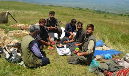 Yaylalarda konaklamaya başlayan göçerlerin süt sağım mesaisi başladı