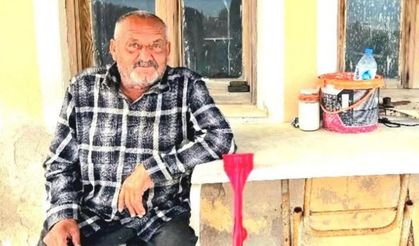 İzmir'de ayının saldırısına uğrayan kişi öldü