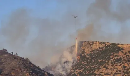 Denizli'de orman yangını