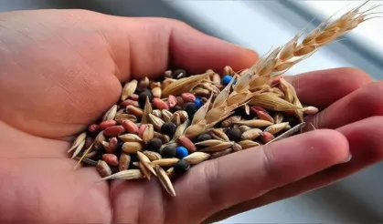 Türk tohumculuğu Asya ile Avrupa arasında büyüyor