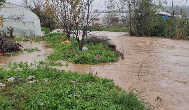 Yalova'da taşan dere nedeniyle bazı sokak ve evleri su bastı