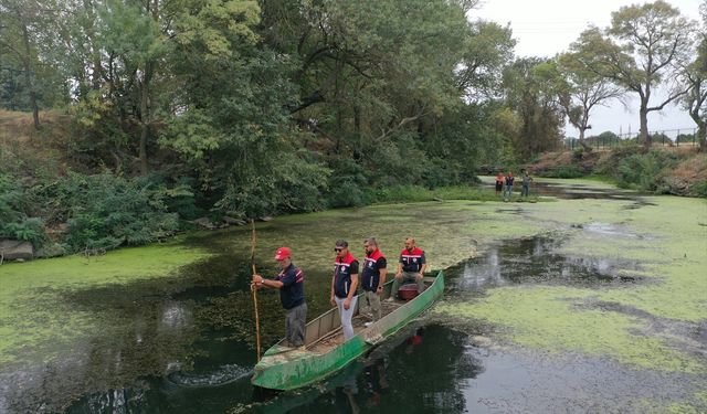 Tunca Nehri'nde tarihi rıhtımın ortaya çıkarılması için yapılan çalışmalarda balığa rastlanmadı