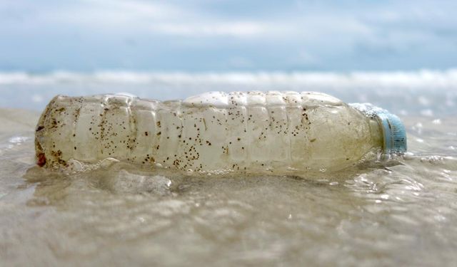 Doğu Karadeniz'deki dip çamuru plastik kirliliğini ortaya çıkardı