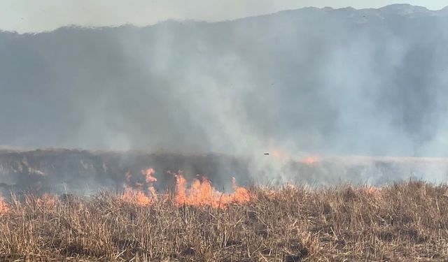 Yüksekova’da onlarca kuş türünün yaşadığı Nehil Sazlığı  yanıyor