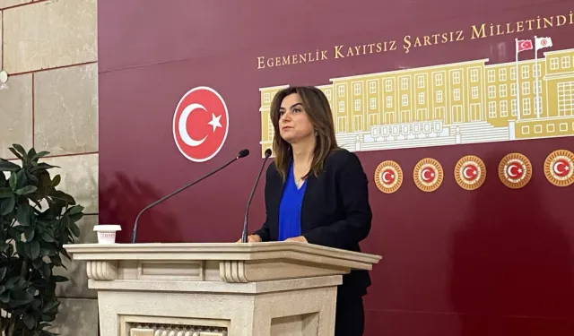 DEM Parti'den kayyum tepkisi: TBMM çalışmalarına katılmayacağız