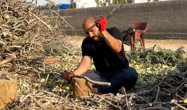 Şanlıurfa'da fıstığın budanan dalları değerlendiriliyor