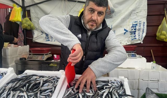 Zonguldak'ta fiyatı düşen hamsiye vatandaşlardan yoğun ilgi