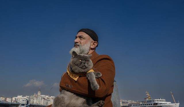 İstanbul'un gezgin kedisi "Reis" sosyal medyada gündem oldu