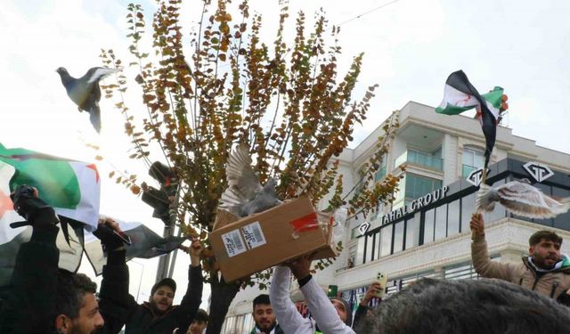 Antalya’daki Suriyeliler rejimin yıkılmasını gökyüzüne beyaz güvercin bırakarak kutladı