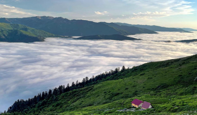 Artvin’den Rize’ye Yayla Rotaları