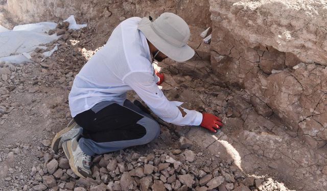 7,5 milyon yıllık fosil kazıları dünya paleontoloji tarihine ışık tutuyor