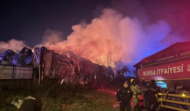 Bursa'da gıda deposunda yangın