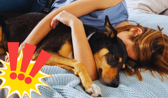 Köpeğiyle aynı yatakta yatanlarda görülüyor! Uzmanlar ikiye ayrıldı...