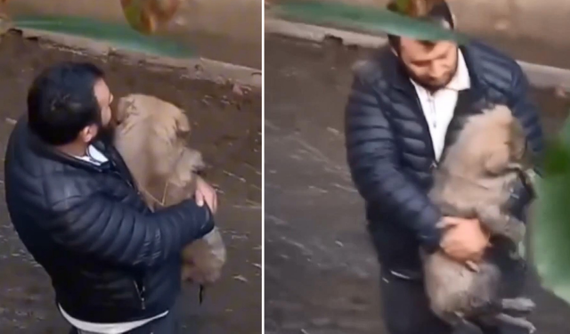 Köpeğini kurtarmak için dereye girdi! İkisi de mahsur kaldı